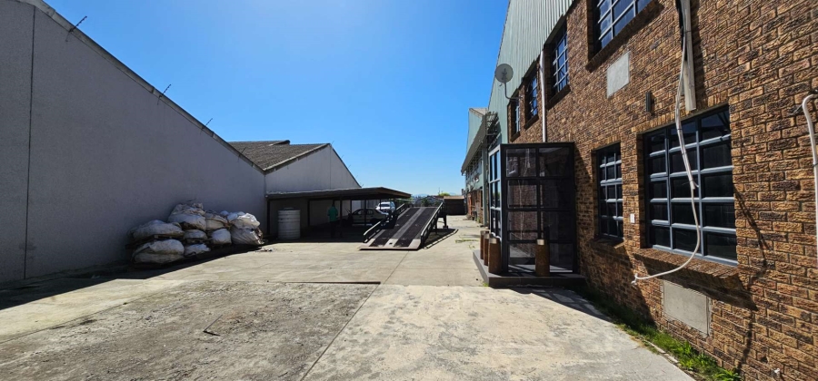 To Let commercial Property for Rent in Beaconvale Western Cape